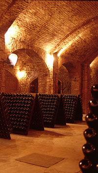 Cantine Bosca