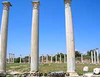 ginnasio a Salamina