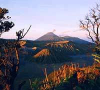 Java Bromo