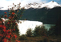 ghiaccaio Perito Moreno