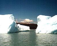 fra gli iceberg del Lago Argentino