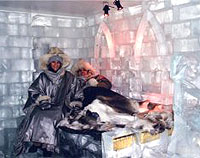 IceGallery