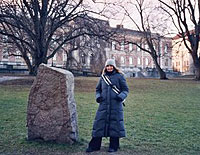 Uppsala pietrarunica