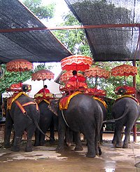 ayuthaya