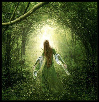 Il Silenzio delle Fate