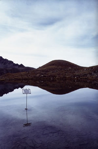 Il Silenzio delle Fate