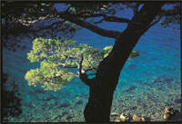 Croazia