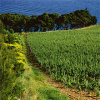 Croazia