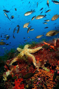 Formentera