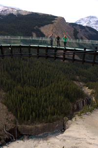 Glacier Skywalk