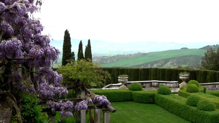Pienza e i Fiori