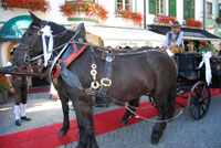 Vipiteno