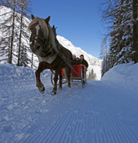 Andamento lento, l’inverno slow di Merano