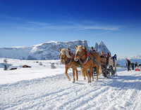 Andamento lento, l’inverno slow di Merano