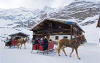 Andamento lento, l’inverno slow di Merano