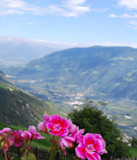 Val Venosta