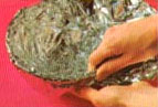 anguria01