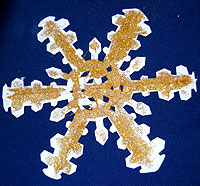 Fiocco3