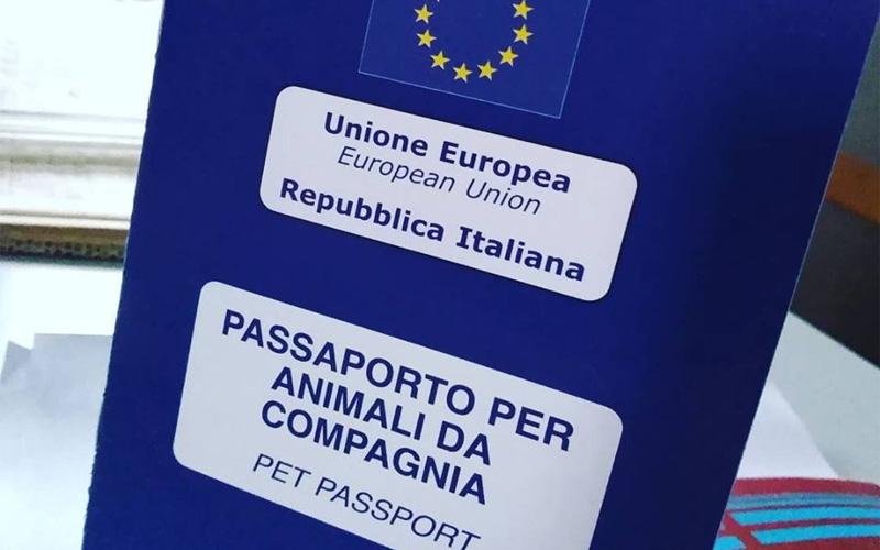 Downward Deduct Steep Il passaporto europeo per cani, gatti e furetti - Sottocoperta.Net