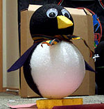 Pinguino4