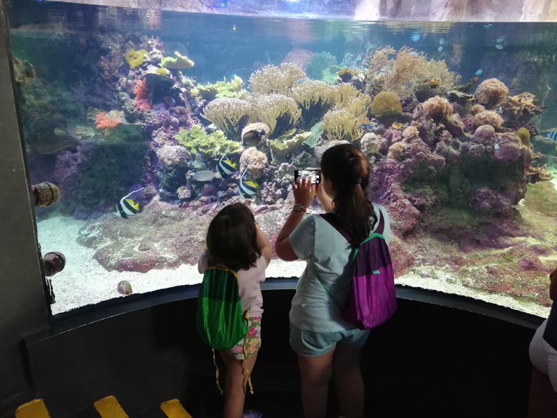 Acquario di Genova