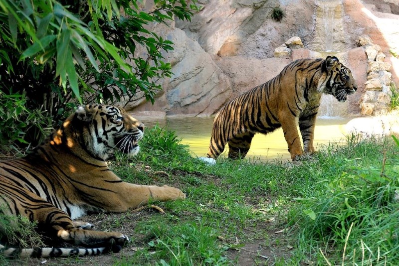 Bioparco di Roma