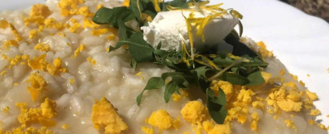Risotto al tarassaco