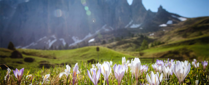 Val Gardena active