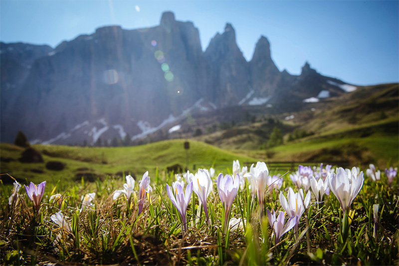 Val Gardena active