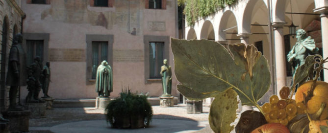 Ambrosiana