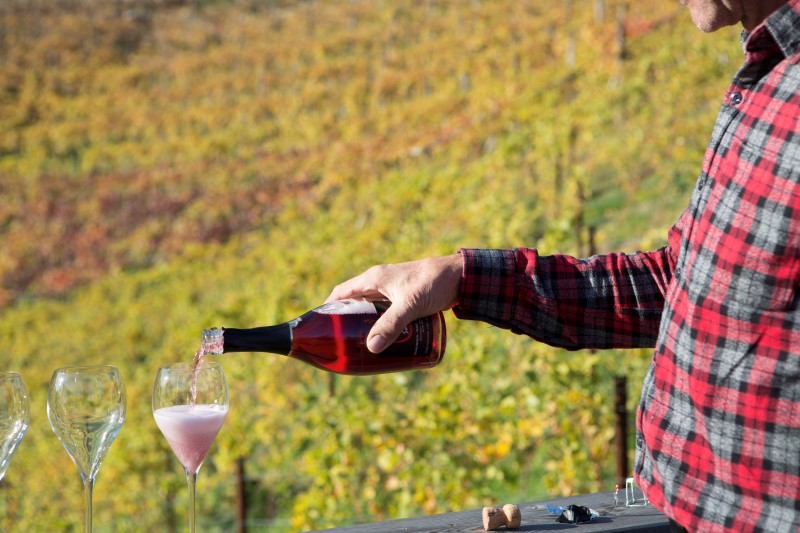 Herbstgenuss, Törggelen, Wein