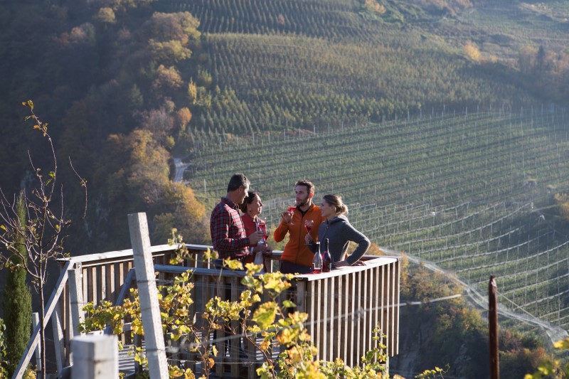 Herbstgenuss, Törggelen, Wein