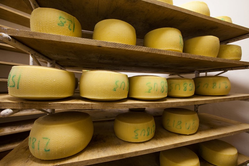 Formaggio stagionato all’agriturismo Jelinčič – Valle dell’Isonzo