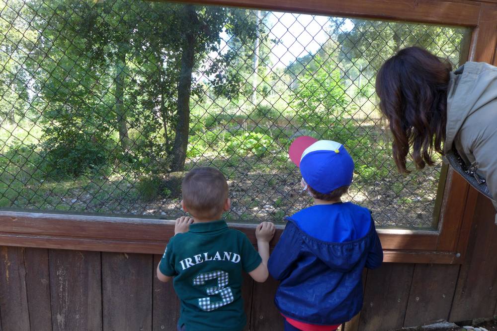 Centro Visita del Lupo a Popoli