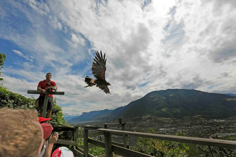 © Associazione turistica Tirolo