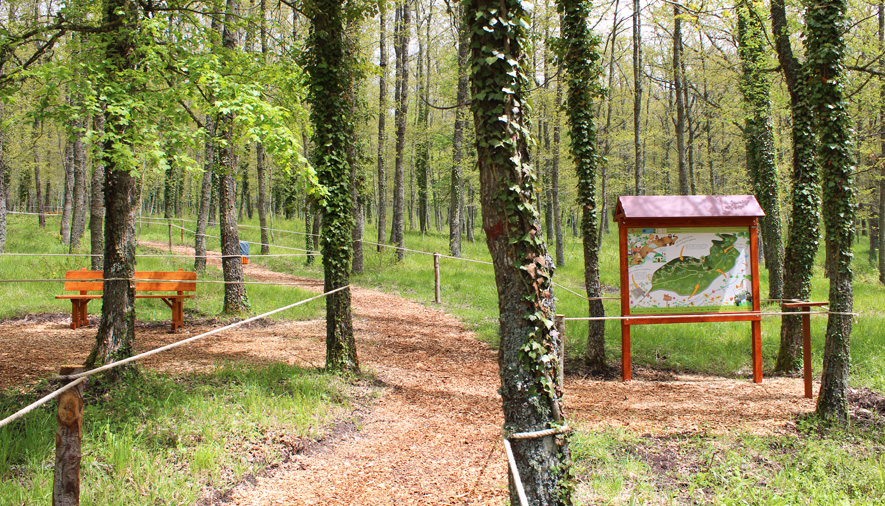 Bosco delle Favole