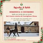 Castiglione Olona (VA) domenica 11 dicembre la Fiera del Cardinale presenta lo speciale Mercatino di Natale