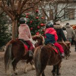 Polvere di Stelle in Alto Adige